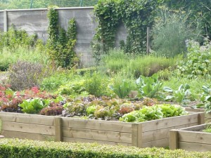 Jeudi Veggie-Chalet de la Forêt 1