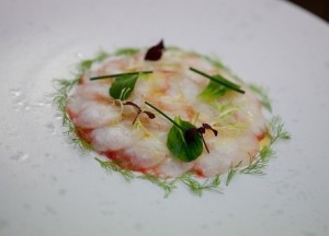 Carpaccio de langoustines