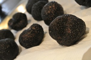 Truffes noires-Lemonnier