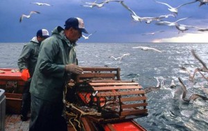 lobster fishing