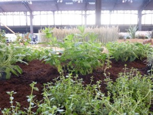 Culinaria2012