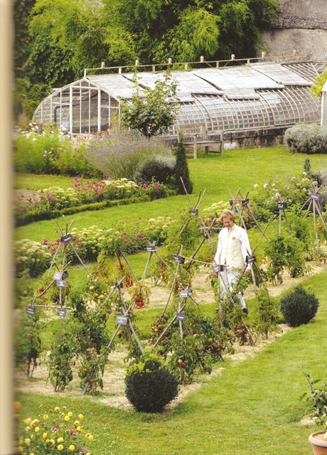 Les tomates du Prince Jardinier | Joelle Rochette