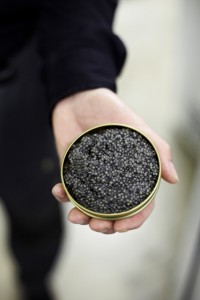 Alexandre Bibaut / Les2b sprl+32 496 81 92 80e-mail: alexandre@les2b.be