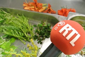 Bel RTL-Villa Lorraine 086