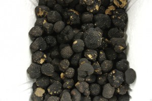 La Trufe noire 044 (2)