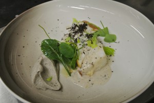 A.Bianchin-BelRTL-09.02.15 001 (12)