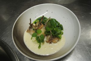 A.Bianchin-BelRTL-09.02.15 001 (9)