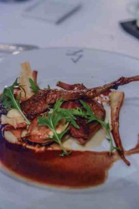 Villa-canard-retouche-0964lq