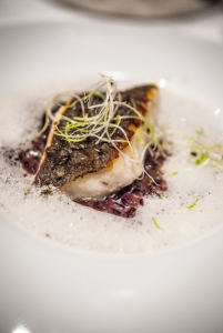 Brugmann-Turbot©Morgane Ball (3)