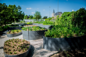 Potager-1-Chalet de la Forêt-©Morgane Ball