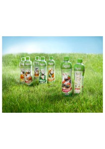 LAPINS_CRETINS_PET_02[2]