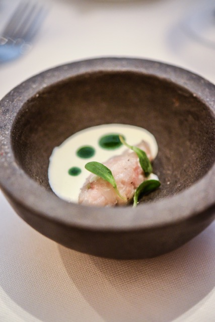 Maxime Colin-©Morgane Ball (42)