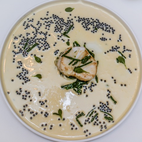 Maxime Colin-©Morgane Ball (50)