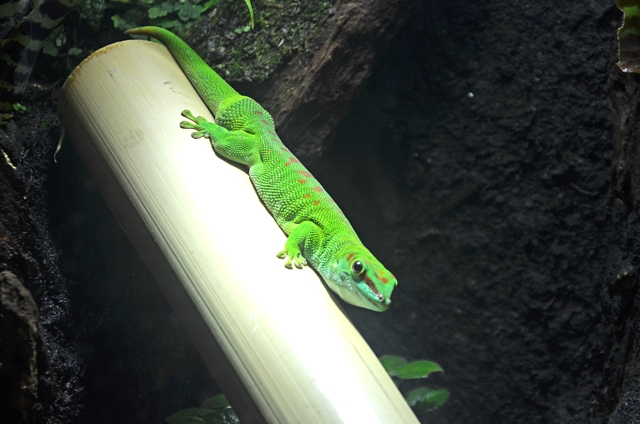 ????????????????????????????????????