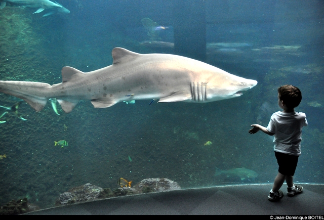 ??????????????????????????????????????????????????