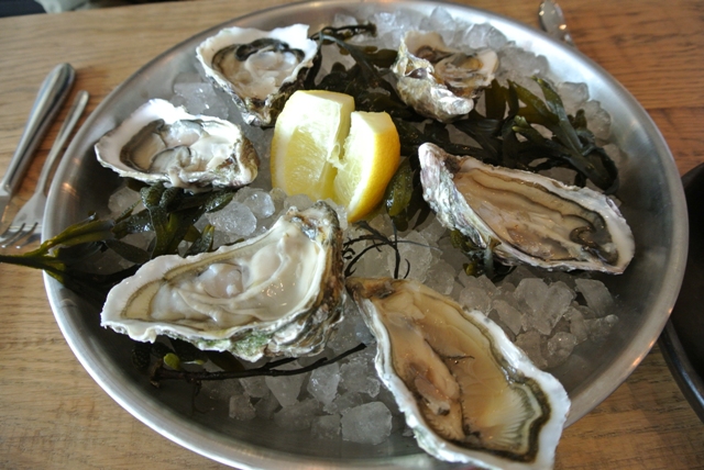 nausicaa 10 ©Joëlle Rochette