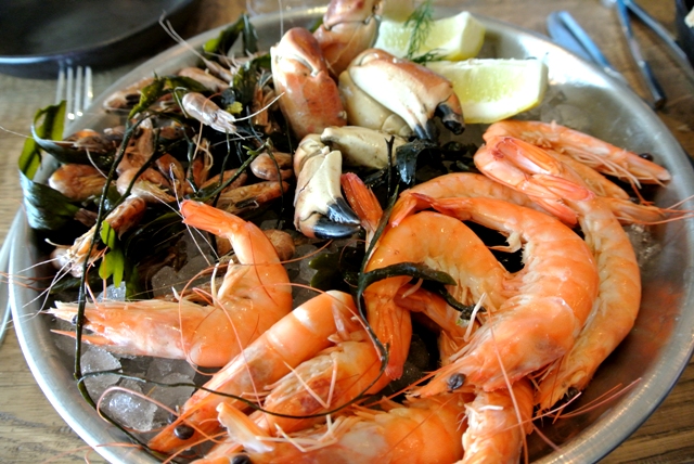 nausicaa 12©Joëlle Rochette