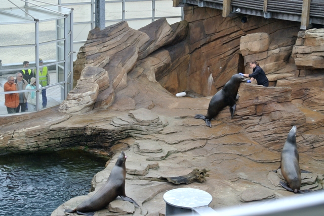 nausicaa 14 ©Joëlle Rochette