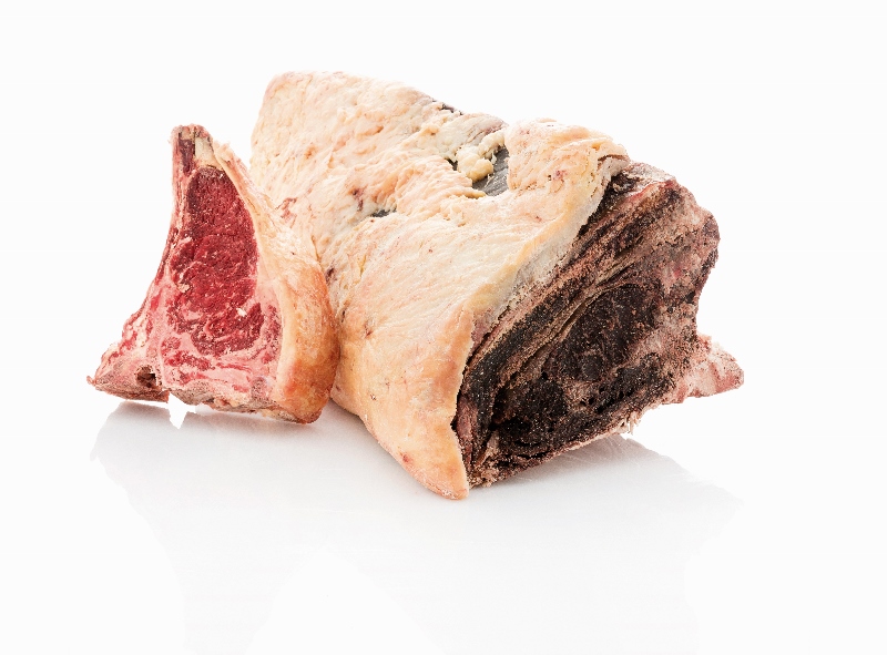 Holstein_4 (800x591)