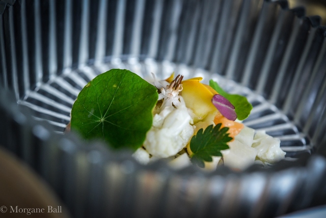 Arabelle-11©Morgane Ball (3) (640x428)