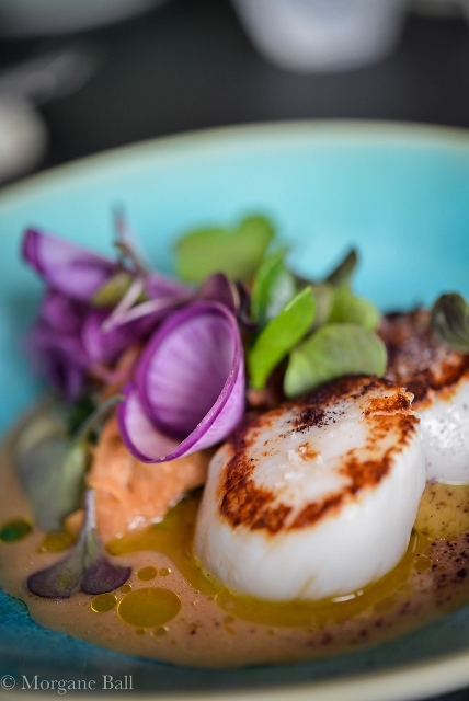 Arabelle-11©Morgane Ball (4) (428x640)