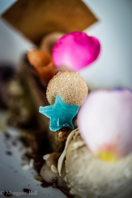 Arabelle-11©Morgane Ball (6) (428x640)