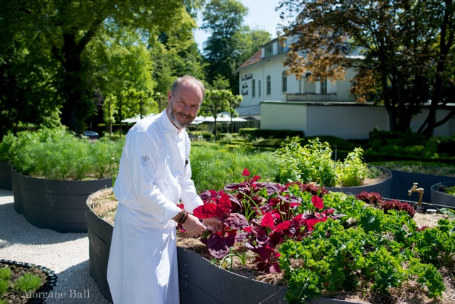 P.Devalkeneer-potager-Copyright photo - Morgane Ball