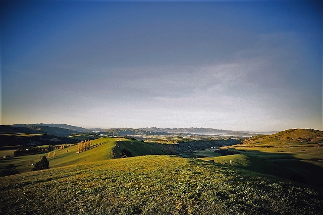 Landscape New Zeeland (2) (640x426) - Copie