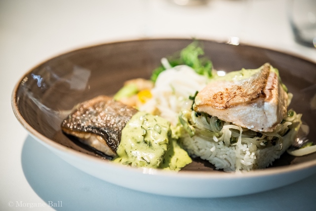 Poisson-sce oseille-2 (640x428)