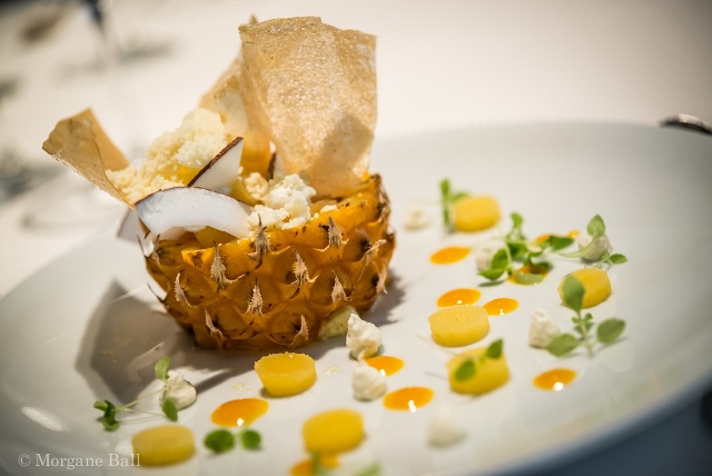 ©Morgane Ball-Villa du Hautsart-Ananas (640x428)