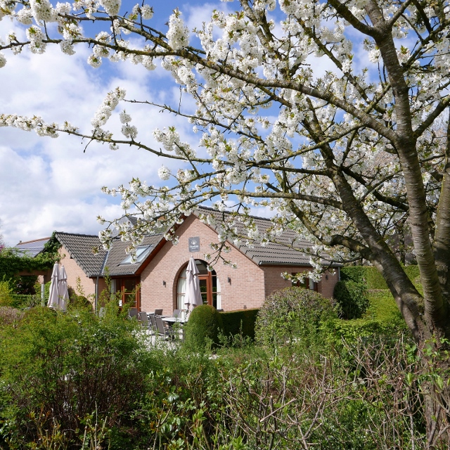 L'Horizon-©Joëlle Rochette (17) (640x640)