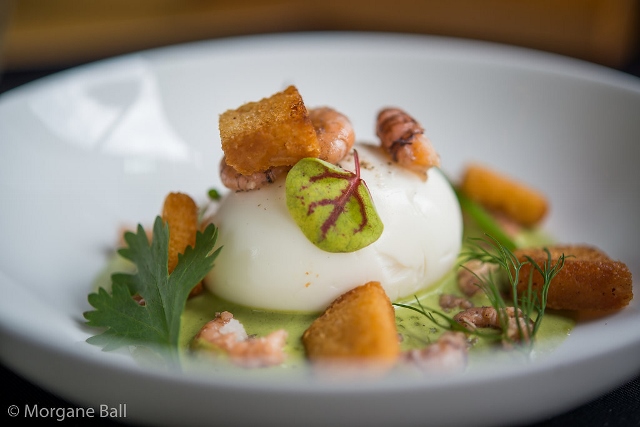 Monbistrodete-copyrightMorganeBall-9095 (640x427)