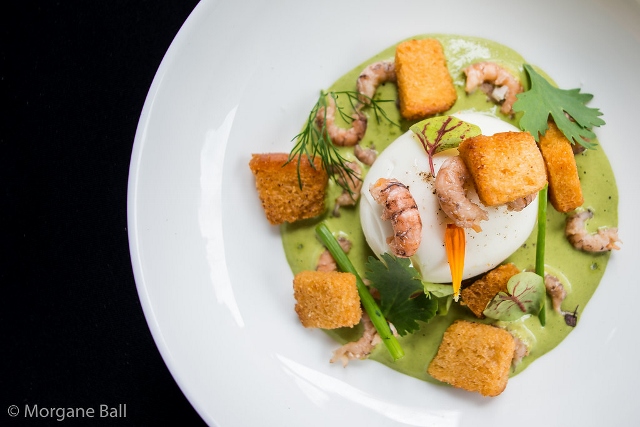 Monbistrodete-copyrightMorganeBall-9118 (640x427)