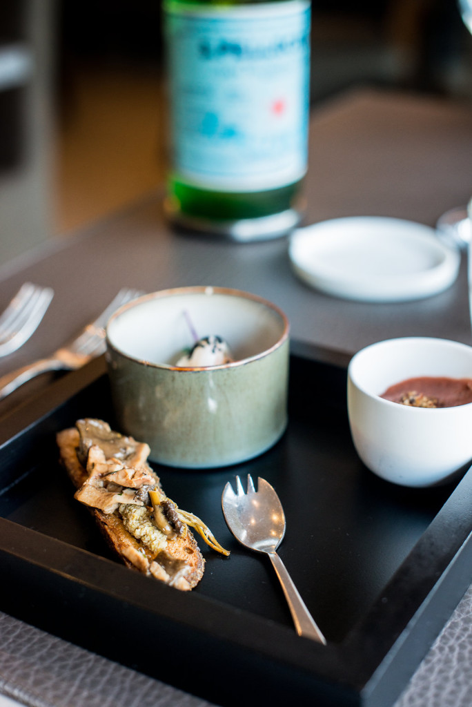 Trio mises en bouche-Lucana-copyrightMorganeBall-HD-0438