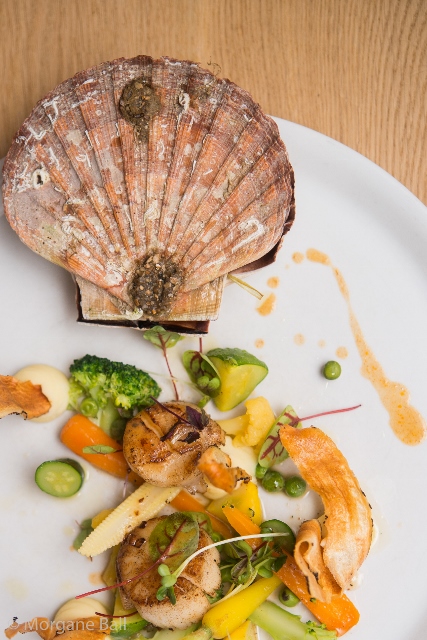 St Jacques-Nicholas Tsiknakos-Kolya-copyrightMorganeBall-2213 (427x640)