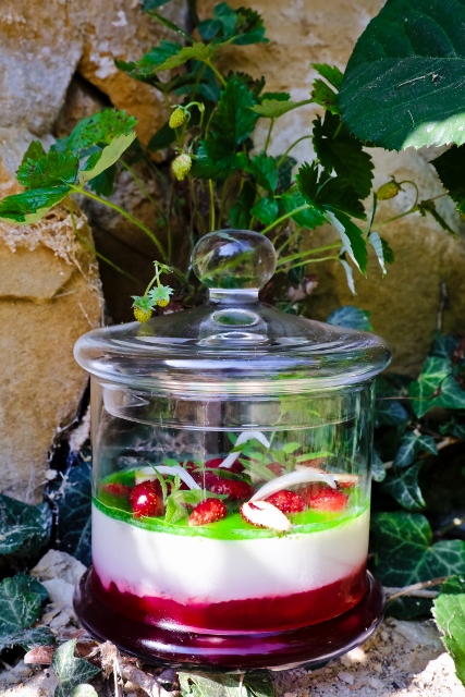 Recette-4-bd-Vegetal-Eté-Fraises©M Williquet(2)