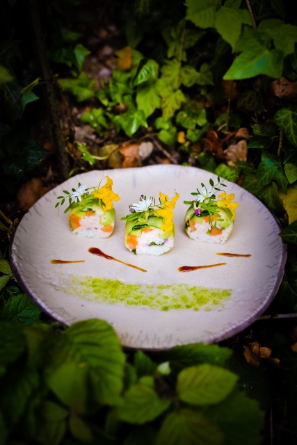 Vegetal-Printemps-bd-Concombre-melon©M Williquet(8) (427x640)